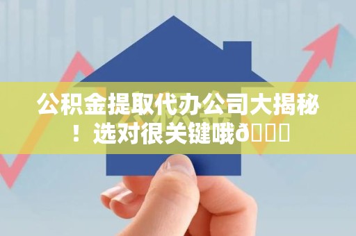 大田公积金提取代办公司大揭秘！选对很关键哦😎
